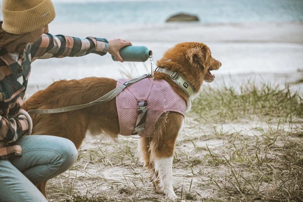 Produktbild Hurtta Cooling Wrap aquamarine (L, Hundemantel)