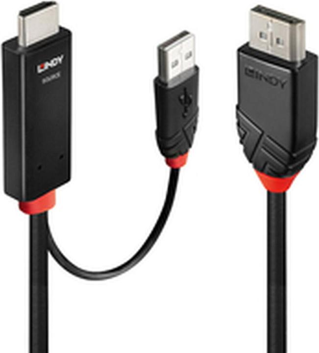 Actual product image Lindy HDMI to DisplayPort adapter cable (3 m)