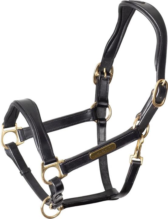 Image du produit Velociti - Licol RAPIDA