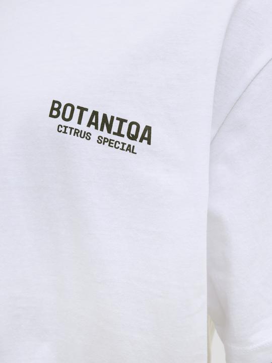 Produktbild Jack & Jones Jorbotaniq Tee Ss Crew Neck Tg Ln (S)