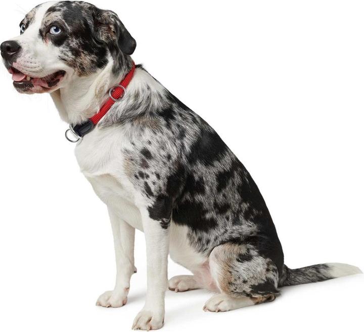 Actual product image Hunter Dressage neck freestyle (10, Dog, General)