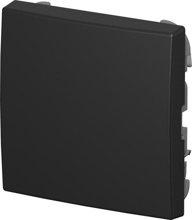 Busch-Jaeger Wippe Wechsel geschlossen 2506-915 f.Schaltereinsatz Busch-balance SI