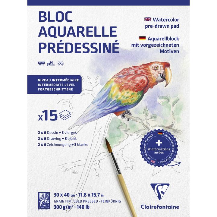 Actual product image Clairefontaine Moist techniques (300 g/m², 1x)