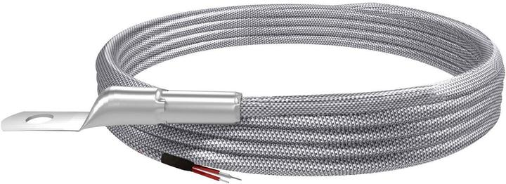 Immagine prodotto Emko Sensore di temperatura Tipo di sonda Pt100 Campo di misura della temperatura da 50 a 400 °C