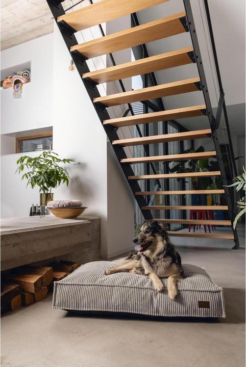 Produktbild Designed by Lotte Ribbed (Hund)
