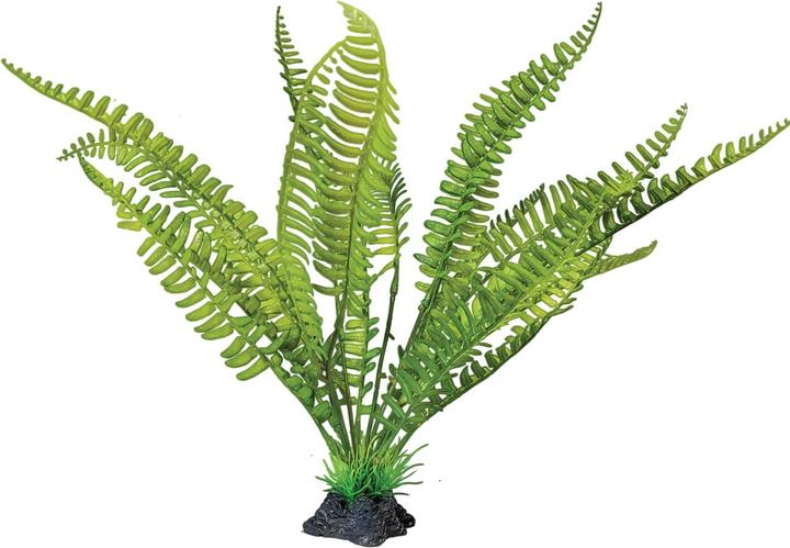 Repto Plant Plant Standing Fern