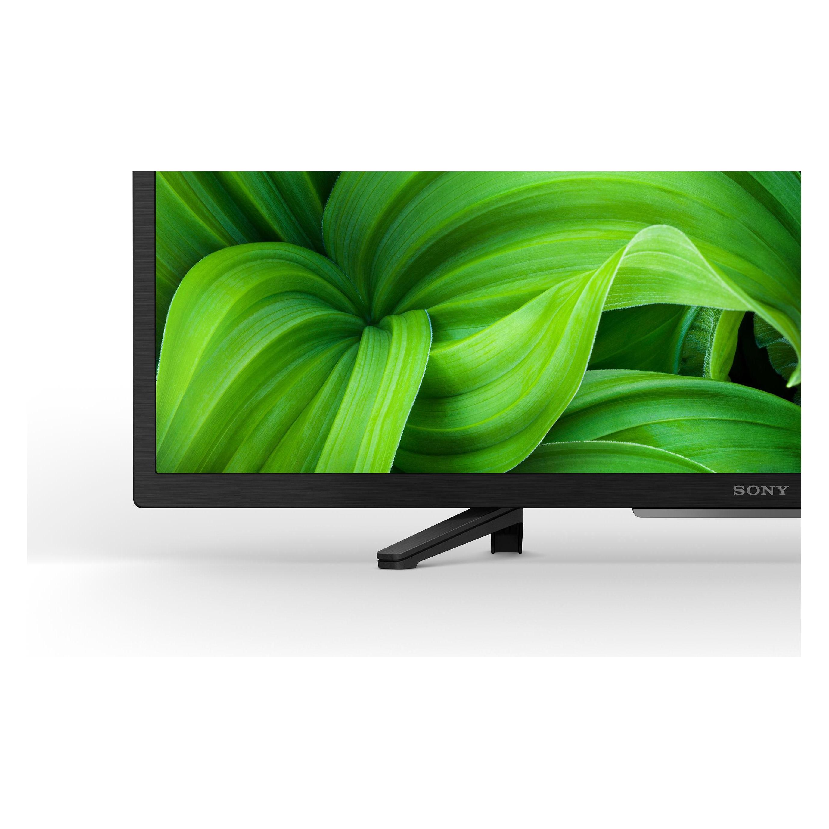 Sony KD-32W800 (32", W800, LCD, HD, 2023), TV, Schwarz