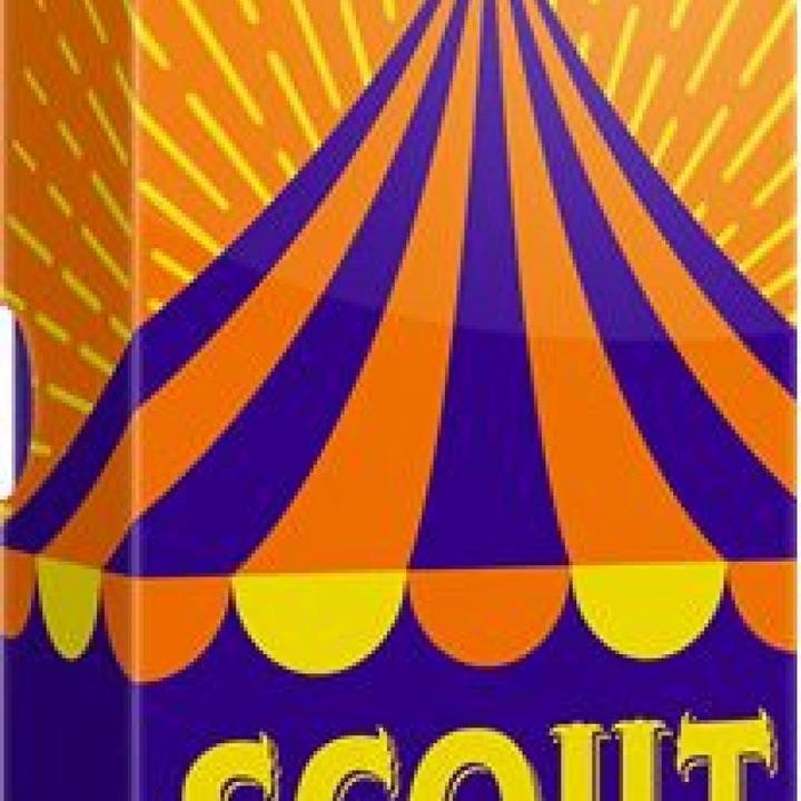 Actual product image Oink Games Scout (German)