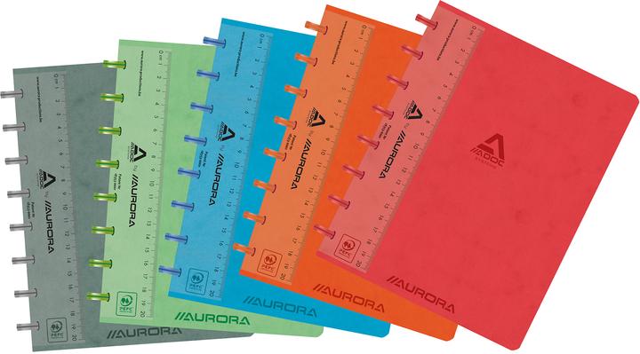 Adoc Ringbuch (A5, Kariert)