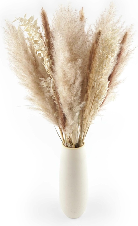 Geschenkkörbe CH Pampas Love (Fleurs séchées)