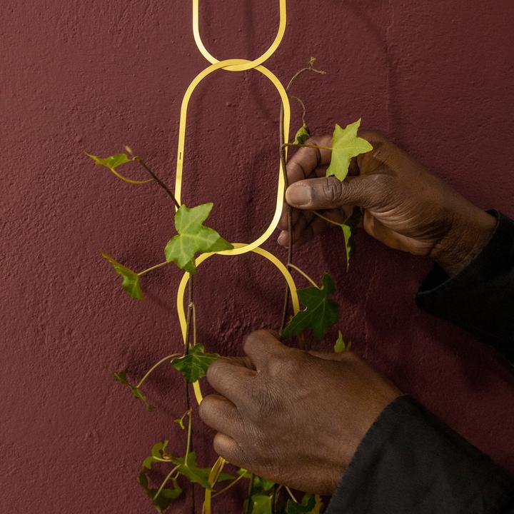 Image du produit Botanopia Support pour plantes grimpantes