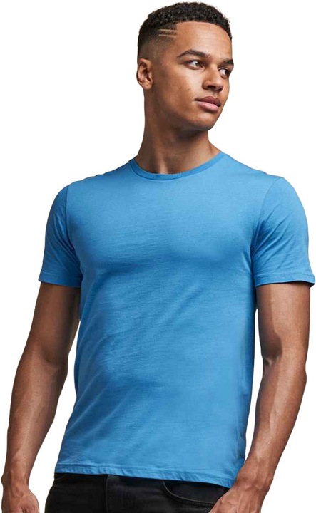 Actual product image Awdis The 100 Tshirt (S)