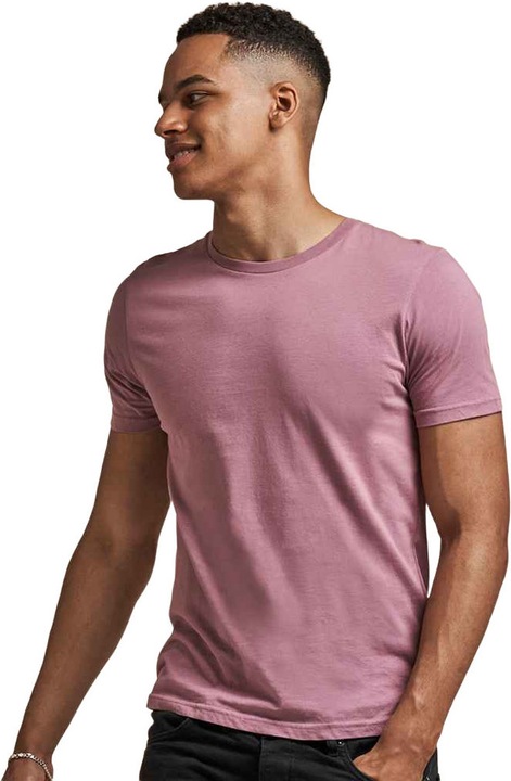 Actual product image Awdis The 100 Tshirt (L)