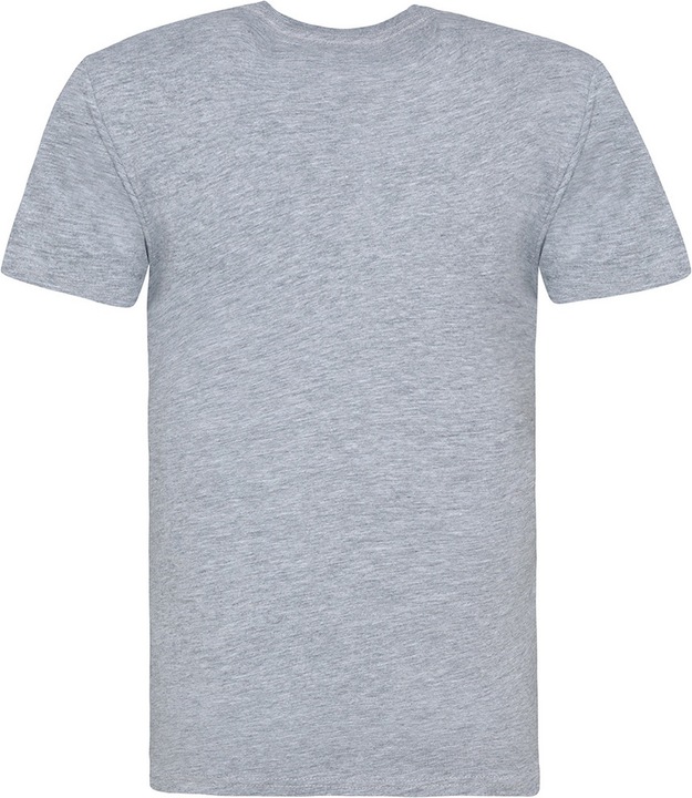 Actual product image Awdis The 100 Tshirt (XXL)