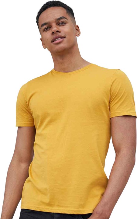 Actual product image Awdis The 100 Tshirt (XL)