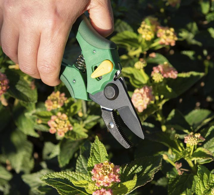 Produktbild Garten Meister Einhand-Gartenschere