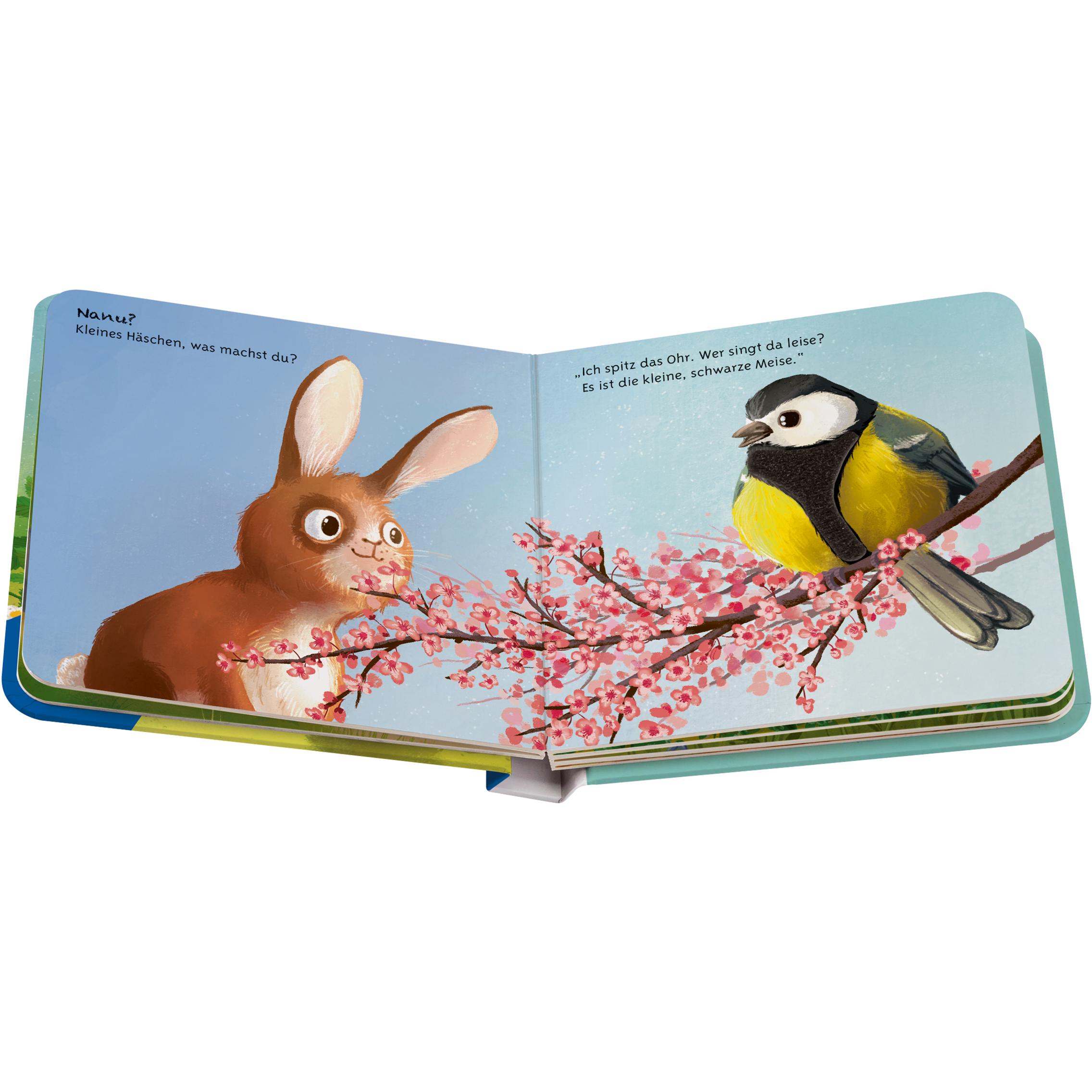 Thumbnail - Ravensburger, Babybücher, Mein liebstes Vorlese-Fühlbuch: Der kleine Hase. Ein erstes Buch mit kuscheligen Fühlteil (Deu...