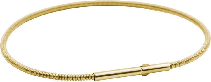 Immagine prodotto Heideman Linea 1 goldfarben (100% acciaio inossidabile)