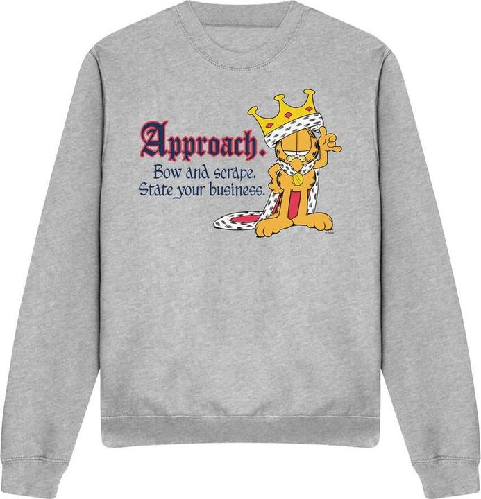 Actual product image Garfield Unisex Adult State Your Business Sweatshirt (XL)