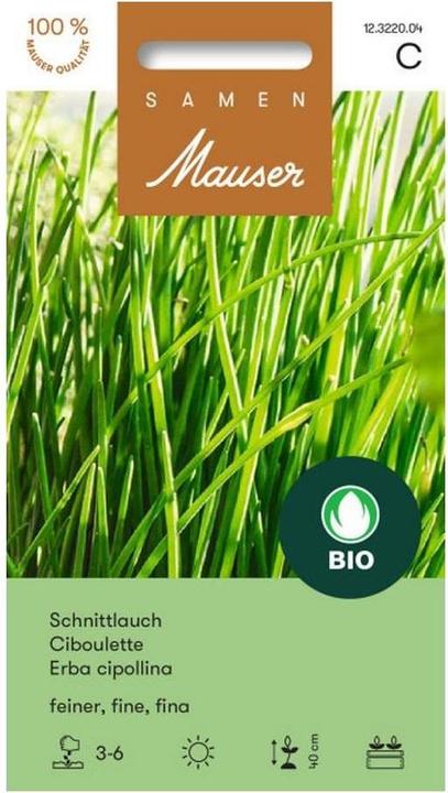 Image du produit Samen Mauser Bourgeons Bio Ciboulette fine (Graines d'herbes aromatiques)