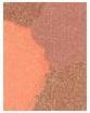 Actual product image Guerlain Terracotta Light Powder (05 Deep Warm, Bronzer, 70 g)
