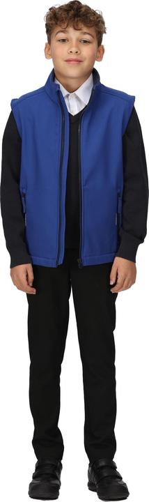 Actual product image Regatta Childrens/Kids Ablaze Softshell Reflective Gilet (146, 152)