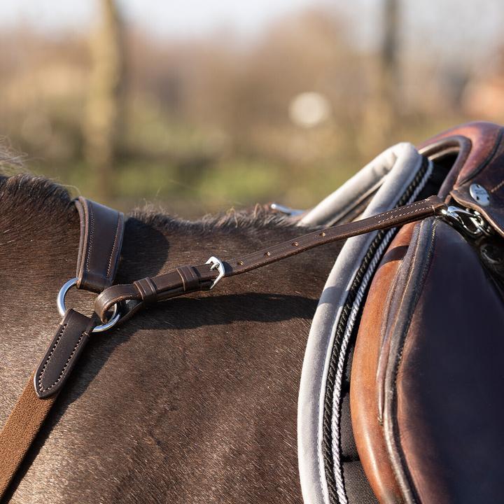 Image du produit Qhp collier de chasse pour cheval basic pro
