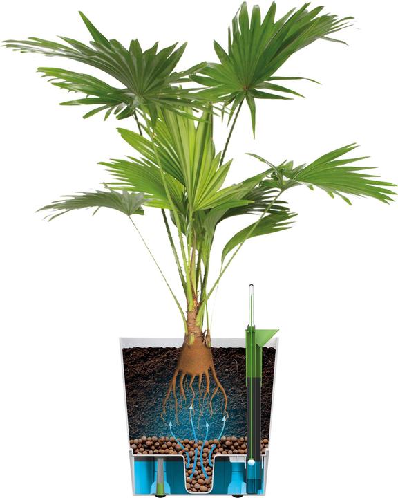 Image du produit Elho Bol à fleurs (35 cm)
