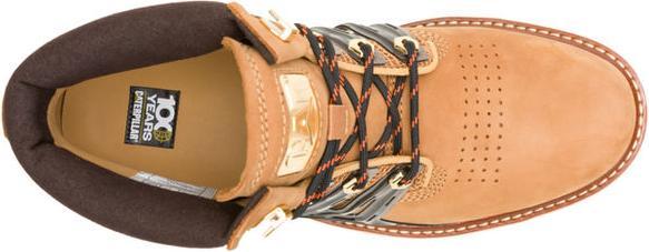 Image du produit Cat Golden Gate (41)