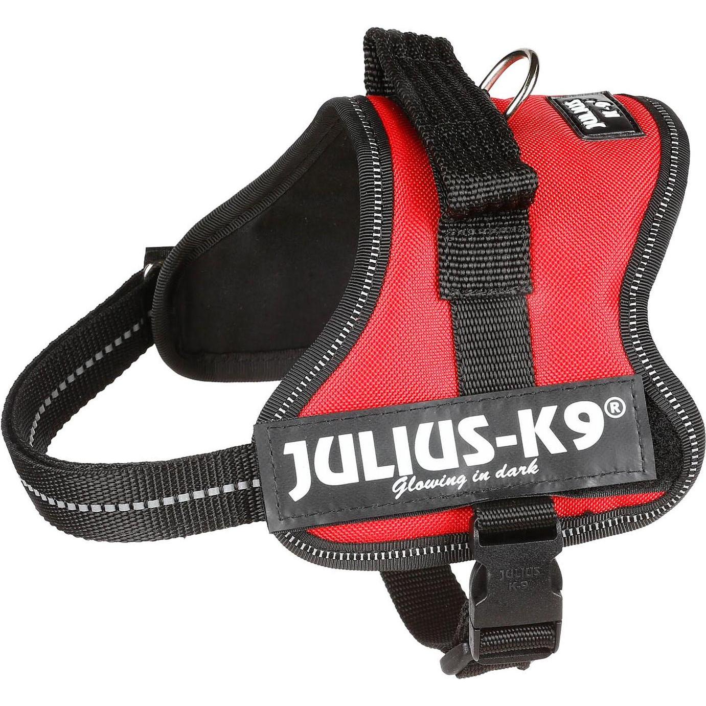 Julius-K9 Powergeschirr für kleinere Hunde ergonomisch (mini1, Hund, Allgemein), Halsband + Leine