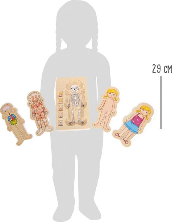 Actual product image small foot Anatomy girls (German)