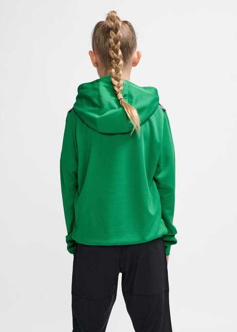 Produktbild hummel Hmlauthentic Pl Hoodie Kids (152)