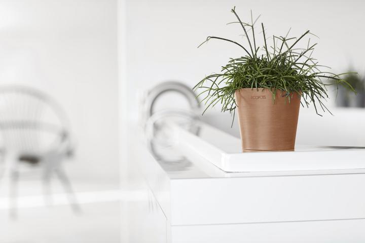 Actual product image Ecopots Amsterdam Mini (10.50 cm)