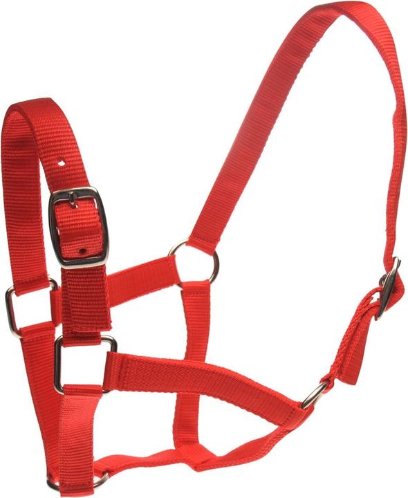 Immagine prodotto Roma Set di cavezza e guinzaglio per cavalli