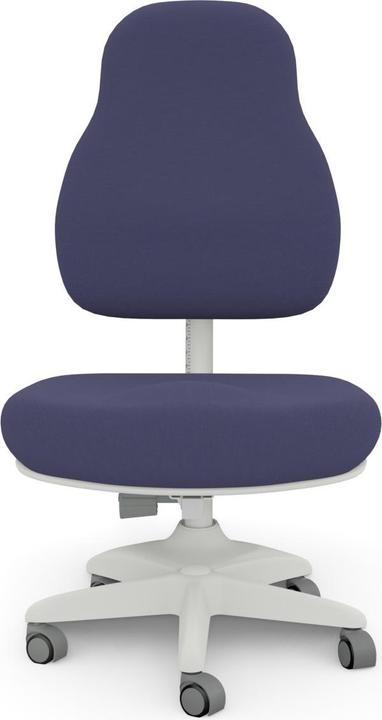 Actual product image Lifetime Kidsrooms Office chair model Ergo Dark