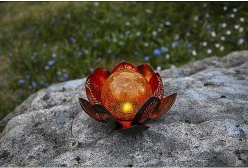 Image du produit Star Trading Solar Decoration Lilly (IP44)