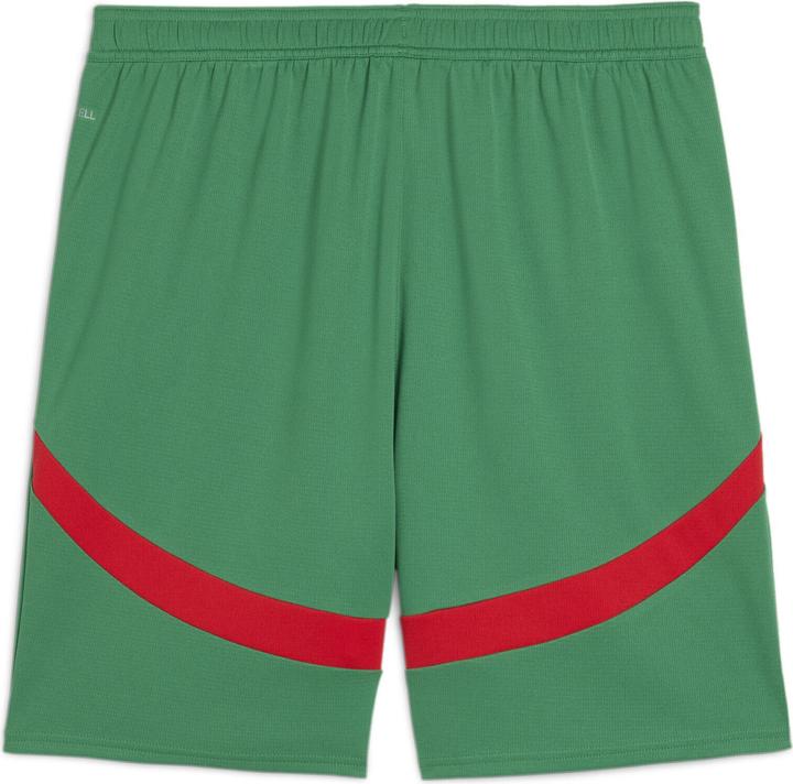 Actual product image Puma match shorts maroc 2024 (XS)