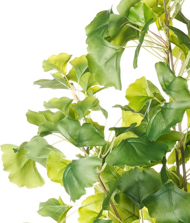 Immagine prodotto Beliani Ginkgo Tree (150 cm)