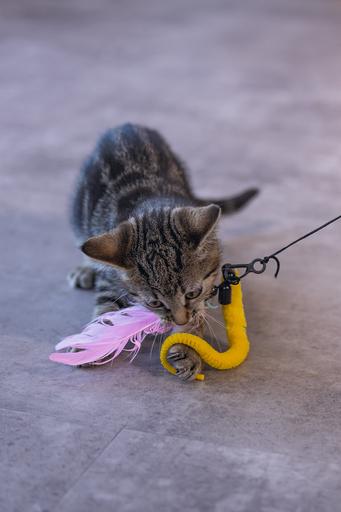Produktbild Beeztees Kitten Katzenangel Kocka (Spielangel Katze)