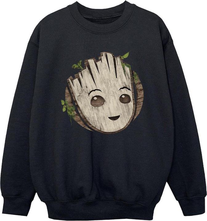 Actual product image Boys I Am Groot Wooden Head Sweatshirt (140, 146)