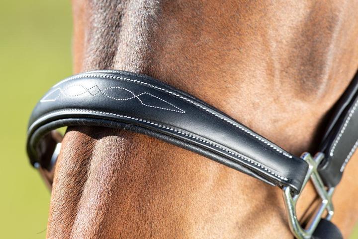 Immagine prodotto HFI Master Cavezza in cuoio