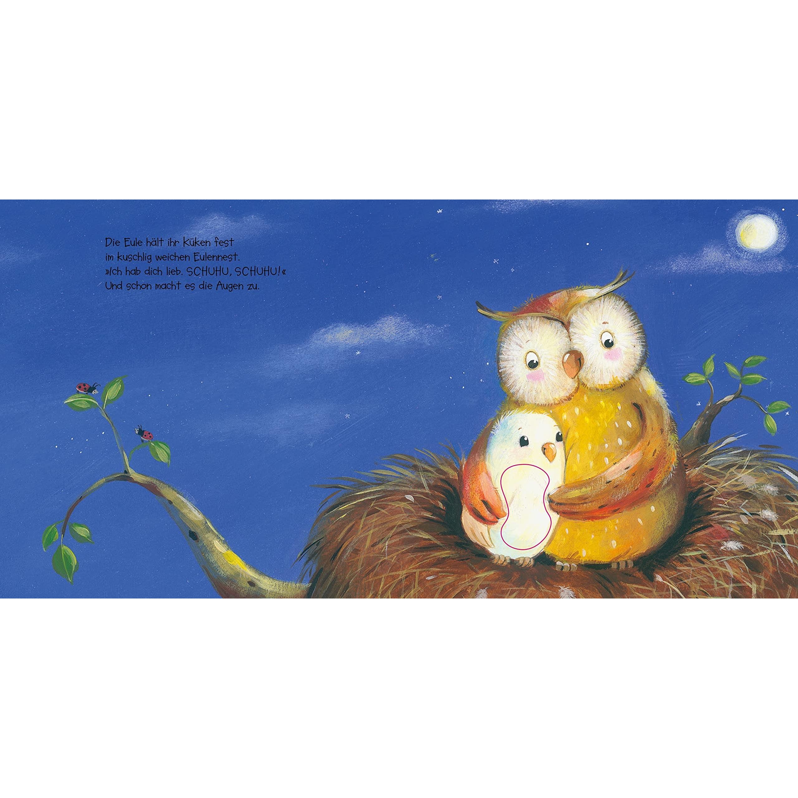 Thumbnail - Mein Fühlbuch: Wie kleine Tiere schlafen gehen, Kinderbücher von Anne-Kristin zur Brügge