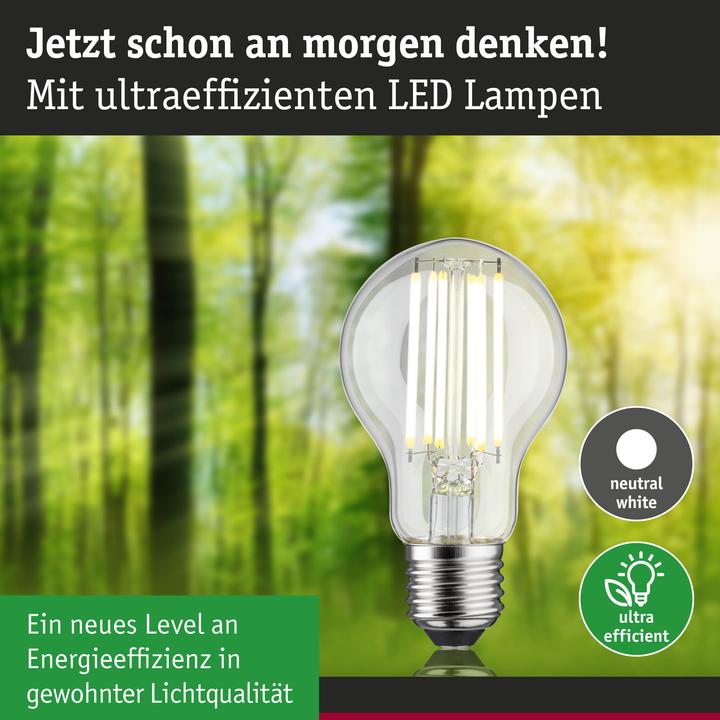 Produktbild Paulmann AGL Eco-Line Filament (E27, 5 W, 1055 lm, 1 x, A)