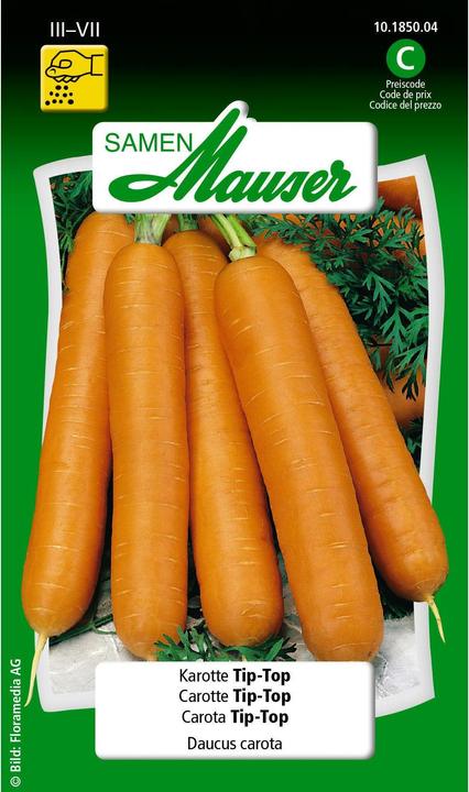 Légumes