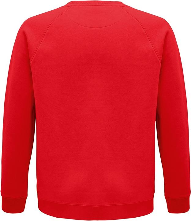 Actual product image Sols Space sweatshirt Cotton from organic farming Raglan sleeves (XS)
