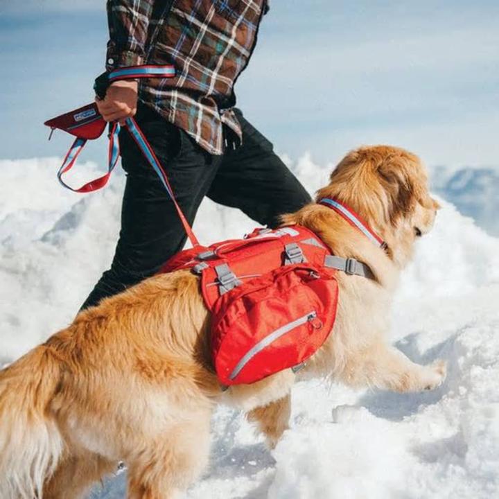 Produktbild Kurgo Baxter (M)