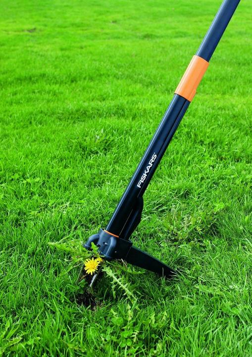 Actual product image Fiskars Xact