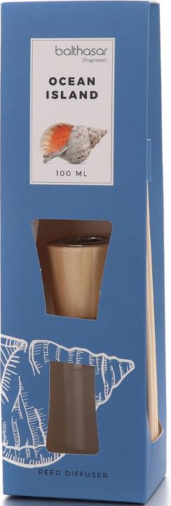 Actual product image Balthasar Raumduft (100 ml)