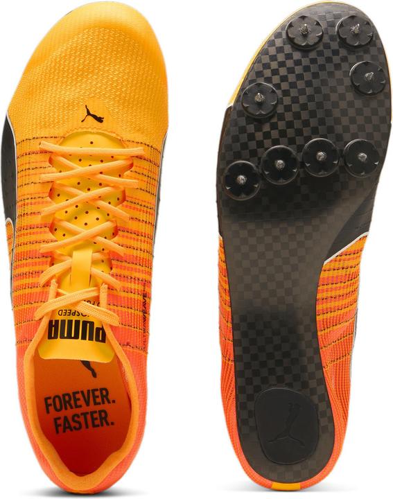 Produktbild Puma evoSPEED Future Faster+ 4 (45)