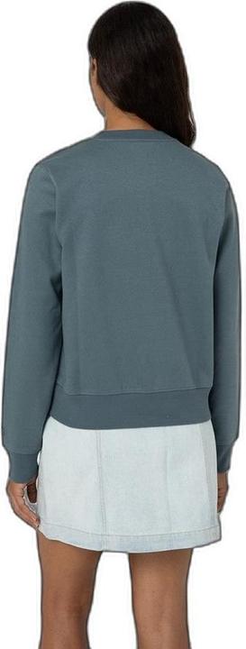 Image du produit Dickies Womens/Ladies Wordmark Heavyweight Crew Neck Sweatshirt (L)